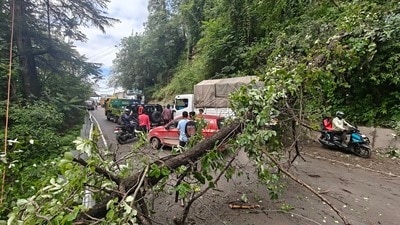 IMD has forecast heavy rain in Shimla, Solan and Sirmaur districts on Saturday (July 12). (HT)