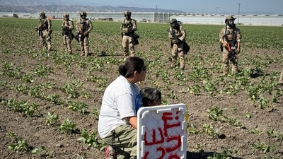 A demonstrator kneels in front of federal agents in a farm field during an immigration raid in Camarillo, California (AP/Michael Owen Baker) A demonstrator kneels in front of federal agents in a farm field during an immigration raid in Camarillo, California (AP/Michael Owen Baker)