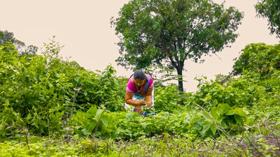 This centralising tendency in forest governance runs opposite to community-based models of conservation. (PTI)