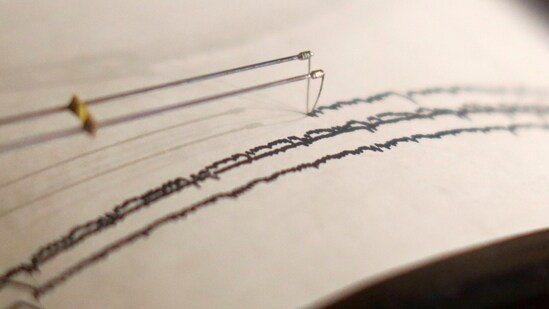 A working seismograph is shown in a display about earthquakes. (Representational image/Reuters)