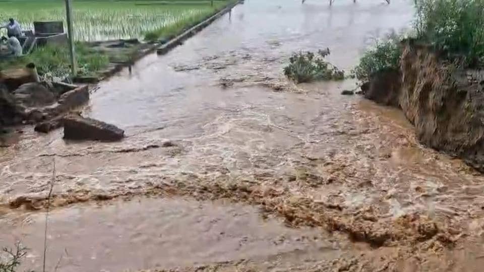 The breach in the embankment of the Sirhind Canal distributary that flooded parts of Bathinda on Friday morning. (Sanjeev Kumar/HT) The breach in the embankment of the Sirhind Canal distributary that flooded parts of Bathinda on Friday morning. (Sanjeev Kumar/HT)