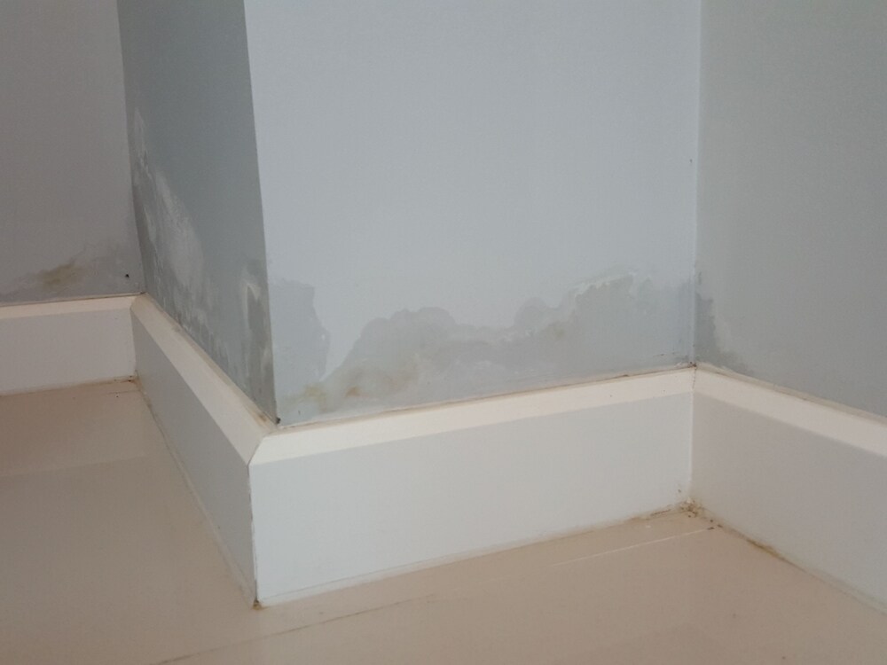 Damps on walls signifies mould underneath. (Shutterstock) Damps on walls signifies mould underneath. (Shutterstock)