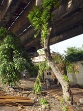 Around 70% of the civil construction work has been completed. (Representative picture) Around 70% of the civil construction work has been completed. (Representative picture)