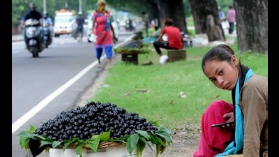 Jamuns owe their popularity not only to being a monsoon staple but also to their medicinal benefits. (HT File) Jamuns owe their popularity not only to being a monsoon staple but also to their medicinal benefits. (HT File)