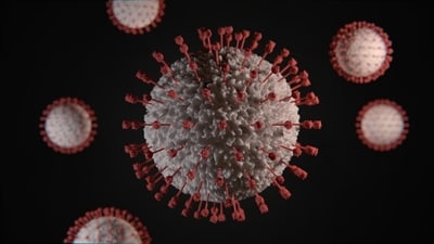 A northern Arizona resident dies from pneumonic plague, marking the first case in Coconino County in 16 years. (Representative image/Unsplash) A northern Arizona resident dies from pneumonic plague, marking the first case in Coconino County in 16 years. (Representative image/Unsplash)