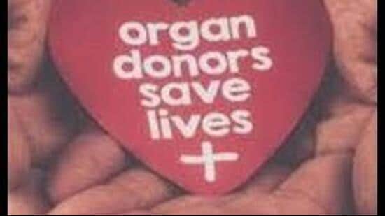 Following the family’s consent, Navneet’s heart, kidneys, and pancreas were retrieved by the transplant teams at the PGIMER. (HT photo for representation)