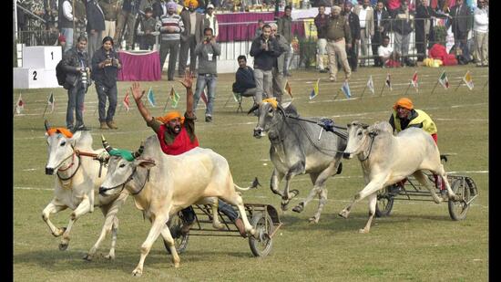 The president of the Kila Raipur Sports Association, Col Surinder Singh (retd), expressed his happiness and thanked everyone who supported the cause. (HT Photo)