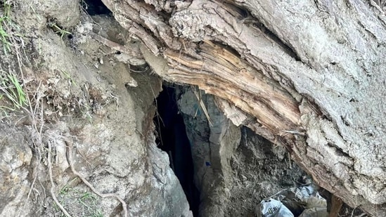A Russian woman was found living with her two kids in an isolated cave in Karnataka's Gokarna.