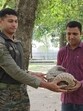 Army officials handling over the pangolin to the forest department officials on Saturday. (File)