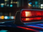 Michigan: Sterling Heights Stellantis plant employees evacuated as armed man enters facility (Pixabay - representational image) Michigan: Sterling Heights Stellantis plant employees evacuated as armed man enters facility (Pixabay - representational image)