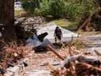 Malaya Hammond, a 17-year-old student, lost her life after helping her family escape amid Texas floods. Malaya Hammond, a 17-year-old student, lost her life after helping her family escape amid Texas floods.