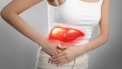 Dr. Pal highlights the risks of fatty liver and how lifestyle choices impact liver health. (Adobe Stock) Dr. Pal highlights the risks of fatty liver and how lifestyle choices impact liver health. (Adobe Stock)
