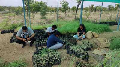 It is spearheaded by The Grasslands Trust in collaboration with the Ashoka Trust for Research in Ecology and the Environment (ATREE) and the Pune district administration. (HT) It is spearheaded by The Grasslands Trust in collaboration with the Ashoka Trust for Research in Ecology and the Environment (ATREE) and the Pune district administration. (HT)