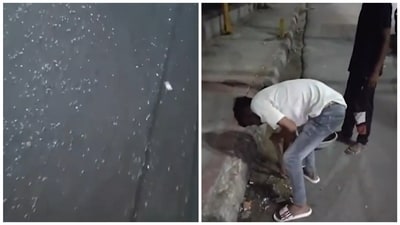 Delhi cabinet minister Kapil Mishra had posted on X, raising concerns over glass on the Kanwar route and had assured of action. (X/@KapilMishra_IND) Delhi cabinet minister Kapil Mishra had posted on X, raising concerns over glass on the Kanwar route and had assured of action. (X/@KapilMishra_IND)