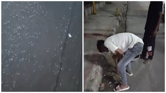 Delhi cabinet minister Kapil Mishra had posted on X, raising concerns over glass on the Kanwar route and had assured of action. (X/@KapilMishra_IND)