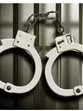 The arrested individual has been identified as Pradeep Kumar. (HT File) The arrested individual has been identified as Pradeep Kumar. (HT File)
