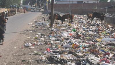 Minister orders inquiry into scrapped PMC waste management tenders