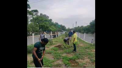 According to officials, replantation will continue across other parts of the city where saplings have failed to survive extreme weather conditions. (HT Photos) According to officials, replantation will continue across other parts of the city where saplings have failed to survive extreme weather conditions. (HT Photos)
