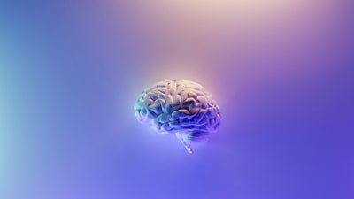Want to know foods to limit or avoid for optimal brain health? Read on. (Unsplash) Want to know foods to limit or avoid for optimal brain health? Read on. (Unsplash)