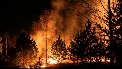 The White Sage Fire in Coconino County has burned over 40,000 acres, prompting highway closures. (Representative Image: Unspalsh ) The White Sage Fire in Coconino County has burned over 40,000 acres, prompting highway closures. (Representative Image: Unspalsh )