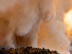 A new wildfire has broken out near Belgian Drive in Brinnon, Washington. 