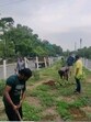 According to officials, replantation will continue across other parts of the city where saplings have failed to survive extreme weather conditions. (HT Photos) According to officials, replantation will continue across other parts of the city where saplings have failed to survive extreme weather conditions. (HT Photos)