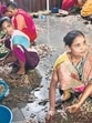Mumbai, India - July 4, 2025:Group women peel prawns at Sassoon Dock, at Colaba in Mumbai, India, on Friday, July 4, 2025. (Photo by Anshuman Poyrekar/ Hindustan Times) (Hindustan Times) Mumbai, India - July 4, 2025:Group women peel prawns at Sassoon Dock, at Colaba in Mumbai, India, on Friday, July 4, 2025. (Photo by Anshuman Poyrekar/ Hindustan Times) (Hindustan Times)