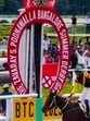 This Sunday, the Zavaray S Poonawalla Bangalore Summer Derby, was won by the favourite, Fynbos, who, with this win, claimed her fourth championship (HT photo)
