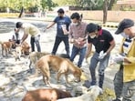 People feed stray dogs at Jantar Mantar Road in Delhi