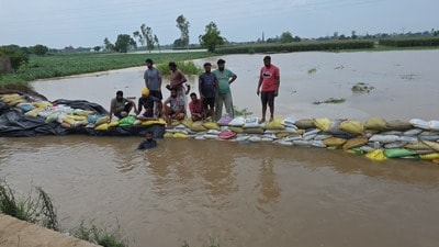 Authorities plug the breach in the canal distributary of Dhaula village, Barnala, using sandbags. (HT Photo) Authorities plug the breach in the canal distributary of Dhaula village, Barnala, using sandbags. (HT Photo)