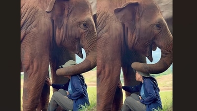 An elephant was seen fondly caressing a caretaker’s head with its trunk while she sang. (Instagram/lek_chailert) An elephant was seen fondly caressing a caretaker’s head with its trunk while she sang. (Instagram/lek_chailert)