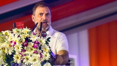 Congress leader and LoP in Lok Sabha Rahul Gandhi (PTI) Congress leader and LoP in Lok Sabha Rahul Gandhi (PTI)