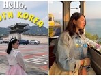The budget of  <span class='webrupee'>₹</span>85,000 includes return flights from South Korea, transport, daily commute, food, stays, and more. 