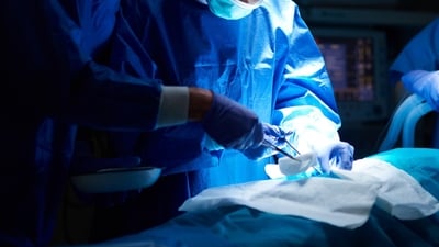 This is reportedly only the second reported case of triphallia in scientific literature. (Representative picture: Freepik) This is reportedly only the second reported case of triphallia in scientific literature. (Representative picture: Freepik)