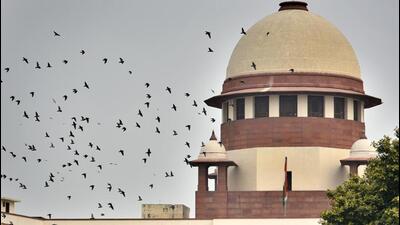 A bench of justices Surya Kant and Joymalya Bagchi granted three weeks to the Delhi government to file its report. (Representative photo)