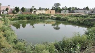 During the March 19 hearing, the tribunal had taken note of a previous status report filed by the district magistrate, which had detailed restoration and anti-encroachment actions in all three tehsils, including the use of drone surveys, legal proceedings under the UP Revenue Code, and awareness campaigns. (HT Photos)
