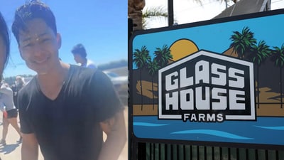 The suspect's photo released by FBI (L, source: FBI Los Angeles) and the Glass House Farms where the raid took place (Source: AFP) The suspect's photo released by FBI (L, source: FBI Los Angeles) and the Glass House Farms where the raid took place (Source: AFP)