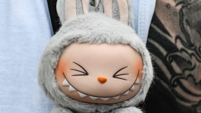 Labubu dolls have become a social media sensation due to their price and rarity. (AFP)