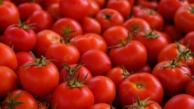 After eggs, tomatoes are getting costlier in the US (Unsplash - representational image) After eggs, tomatoes are getting costlier in the US (Unsplash - representational image)