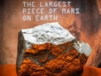 Meteorite NWA 16788, the largest known piece of Mars on Earth
