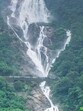 Goa’s conservator of forests (wildlife and ecotourism), Naveen Kumar, wrote to the Dehradun-based institute earlier this week. (Representative photo)