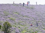Karnataka government announced regulations to enter Chikmangulur's Mullayangiri peak. 