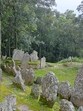 The menhirs—upright memorial stones bearing intricate carvings—are distinguished by their pre-Christian Mizo iconography (Laldinsanga/ HT photo)