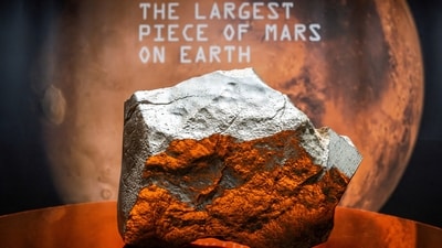 Meteorite NWA 16788, the largest known piece of Mars on Earth (REUTERS)