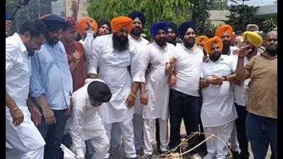 Shiromani Akali Dal (SAD) protesting in Jalandhar. Shiromani Akali Dal (SAD) protesting in Jalandhar.