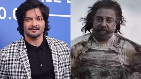 Ali Fazal talked about Thug Life's box office failure.