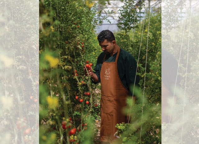 Paeru at Mharo Khet is located on a 40-acre farm. Paeru at Mharo Khet is located on a 40-acre farm.