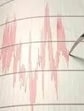 An earthquake of magnitude 3.3 on the Richter scale was recorded at 12:46 am, with its epicentre 15 km east of Rohtak at a depth of 10 km, the National Centre for Seismology said. (HT File)