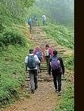 For the safety of trekkers using various routes in Kangra district, the district administration has set up disaster management check posts at the starting points of the 10 most frequently used trekking trails. (HT File)