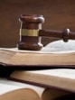 The Himachal Pradesh high court pulled up the state government for “selective” anti- encroachment drive to free forest land, and sought fresh status report stating “encroachment from the government land/forest land, including removal of fruit-bearing trees from such land, has to be undertaken PAN Himachal Pradesh and it is not limited only to Rohru and Kotkhai”. (Shutterstock/ Representational image) The Himachal Pradesh high court pulled up the state government for “selective” anti- encroachment drive to free forest land, and sought fresh status report stating “encroachment from the government land/forest land, including removal of fruit-bearing trees from such land, has to be undertaken PAN Himachal Pradesh and it is not limited only to Rohru and Kotkhai”. (Shutterstock/ Representational image)